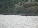 VB2010 044